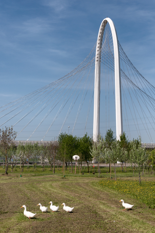 Vele di Calatrava, South bridge - Reggio Emilia, Italy - April 7, 2011