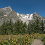 Le Grandes Jorasses - Val Ferret, Courmayeur, Aosta, Italy - August 8, 2016