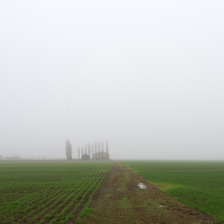 Fog - Crevalcore, Bologna, Italy - November 28, 2014