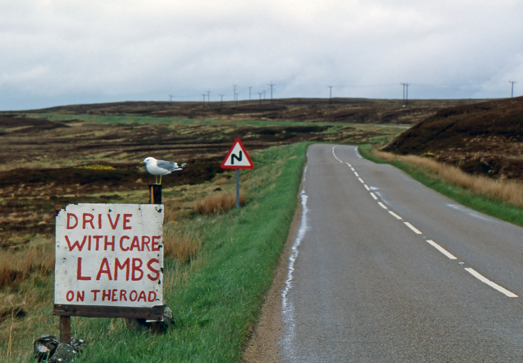 Drive with Care - Between Tongue and Reay, Scotland, UK - May 29, 1989
