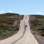 Tundra's Rush Hour - Somewhere South of Kjollefjord, Norway - July 1989