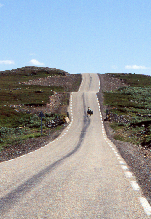 Tundra's Rush Hour - Somewhere South of Kjollefjord, Norway - July 1989