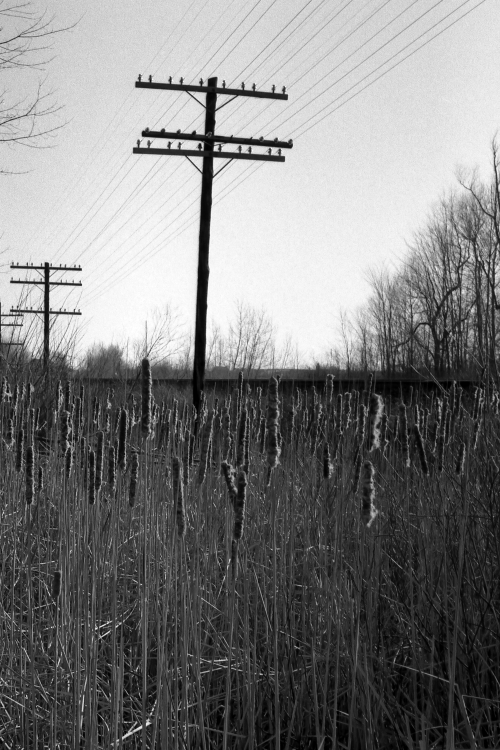 Untitled - North of Toronto, Ontario, Canada - Winter 1987
