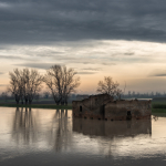 Secchia's Flood - Soliera, Modena, Italy - December 12, 2017