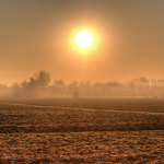 Morning Mist - Near San Damaso, Modena, Italy - December 22, 2011