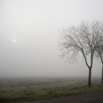 Foggy Sunrise - Near Castelfranco Emilia, Modena, Italy - January 7, 2013