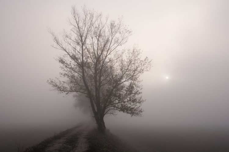 Foggy Sunrise - Sozzigalli, Soliera, Modena, Italy - November 18, 2011
