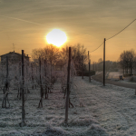  Cold Sunrise - Albareto, Modena, Italy - December 28, 2010