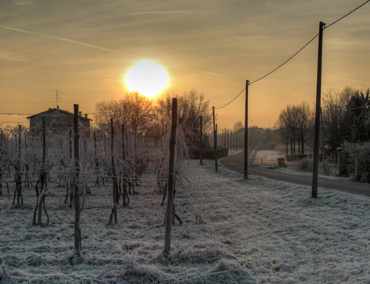  Cold Sunrise - Albareto, Modena, Italy - December 28, 2010