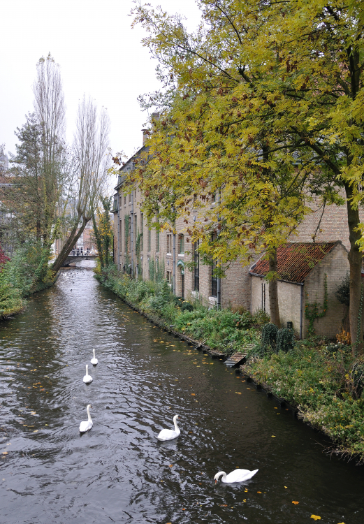 Canal - Brugge, Belgium - November 2, 2010