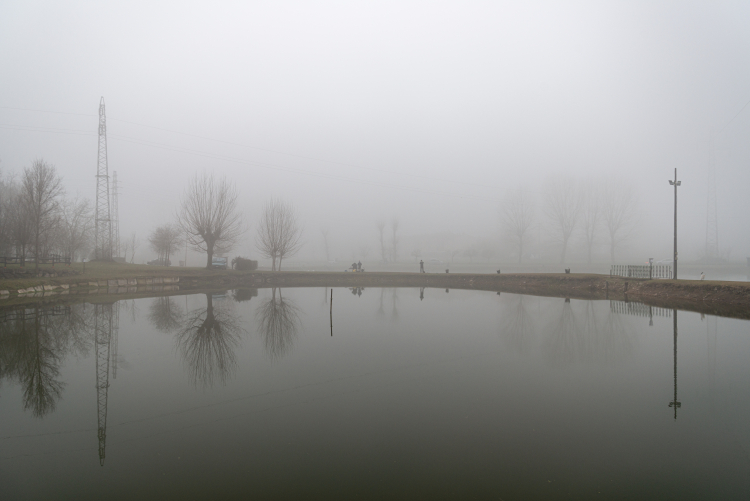 Fog - Crevalcore, Bologna, Italy - January, 13, 2020