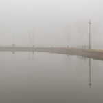Fog - Crevalcore, Bologna, Italy - January, 13, 2020