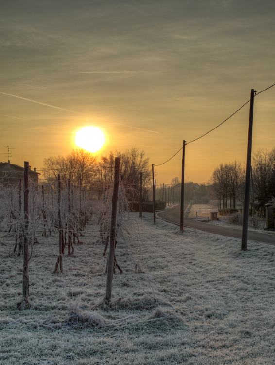 Cold Sunrise - Albareto, Modena, Italy - December 28, 2010