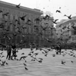Pigeons - Piazza del Duomo, Milano, Italy - 1991
