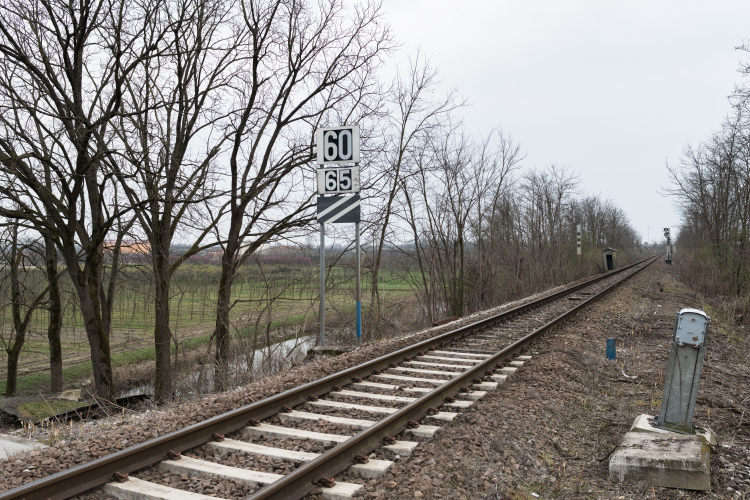 Tracks - Piadena, Cremona, Italy - March 24, 2015