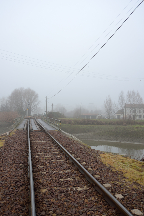 Morning Mist - Guastalla, Reggio Emilia, Italy - December 23, 2012
