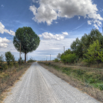 Country Road - Sant'Agata Bolognese, Bologna, Italy - August 31, 2012