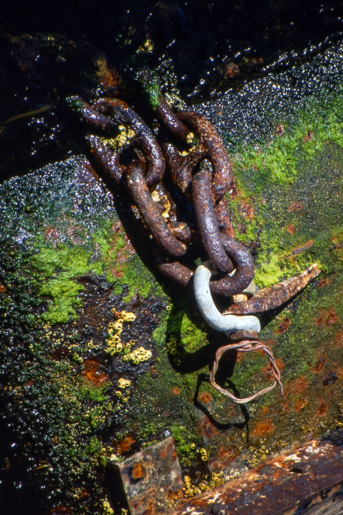 Rusty Chain - Vancouver Island, BC, Canada - Summer 1990