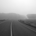 Fog & Mist