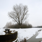 Zena Canal - Nonantola, Modena, Italy - February 12, 2013