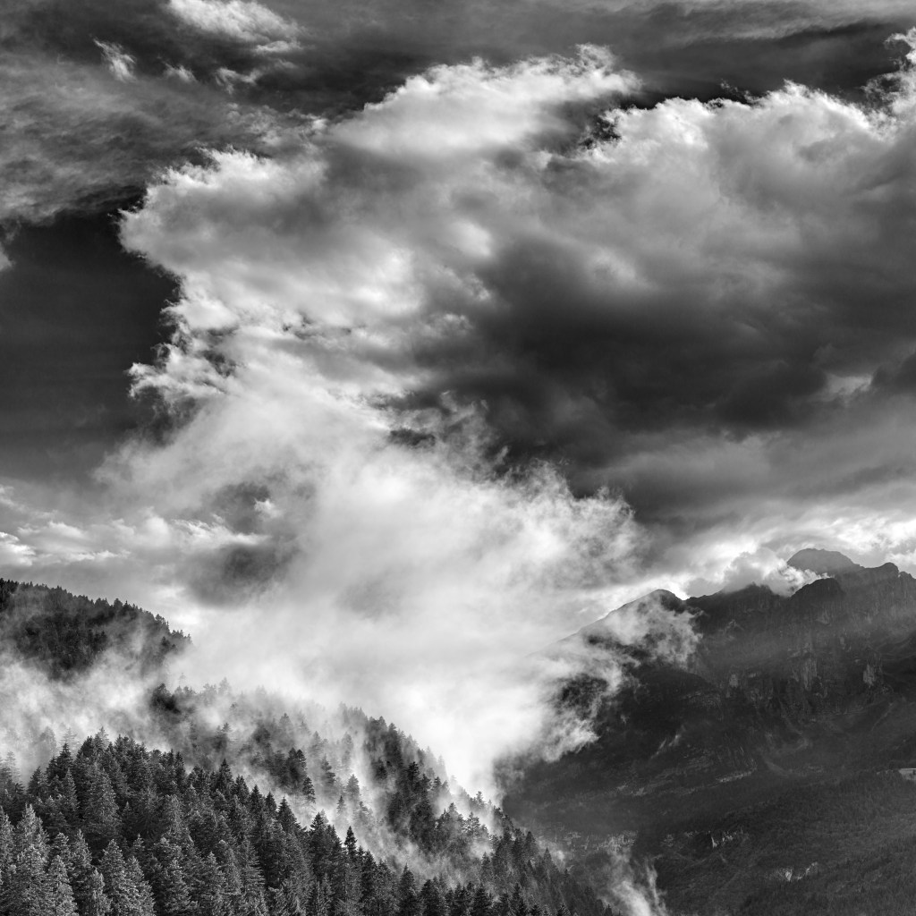 After the Rain - Andalo, Trento, Italy - August 22, 2020