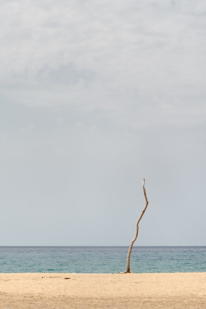 Solitary - Beach of Piscinas, Arbus, Sud Sardegna, Italy - August 13, 2020
