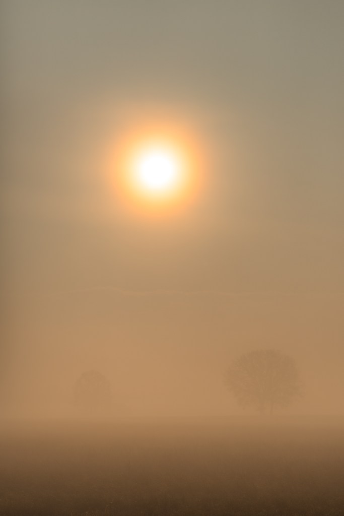 Sunrise - Nonantola, Modena, Italy - December 11, 2020