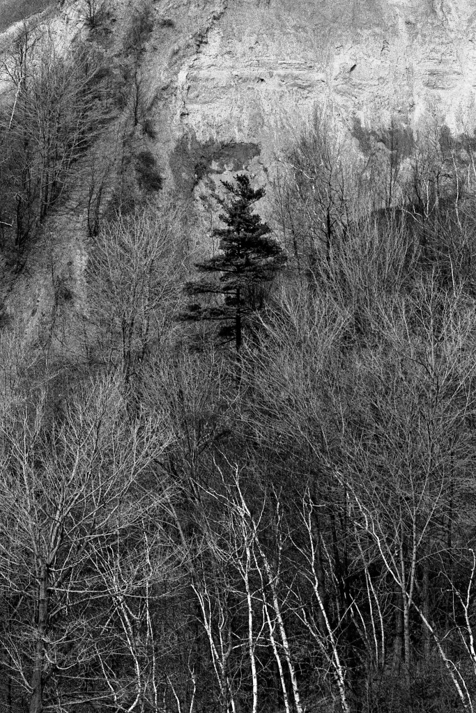 Stand Out - Ontario, Canada - About 1987
