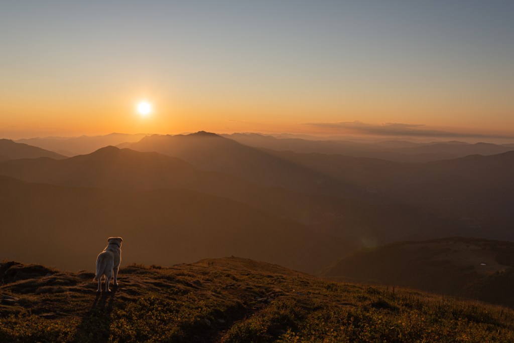 Olli - Monte Cusna, Villa Minozzo, Reggio Emilia, Italy - August 28, 2021
