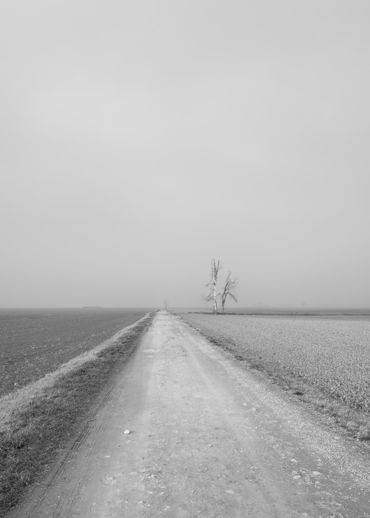 Road with no name - Crevalcore, Bologna, Italy - January 20, 2022
