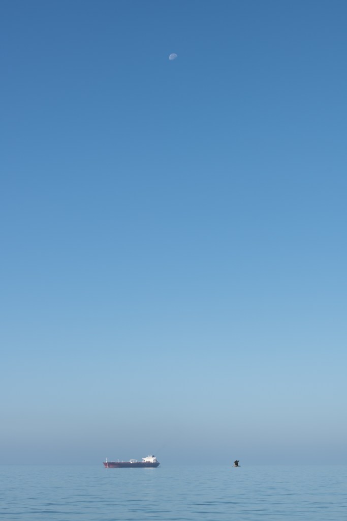 A Ship, a Bird and the Moon pass by in Delaware Bay - Lewes, Delaware, USA - October 4, 2023
