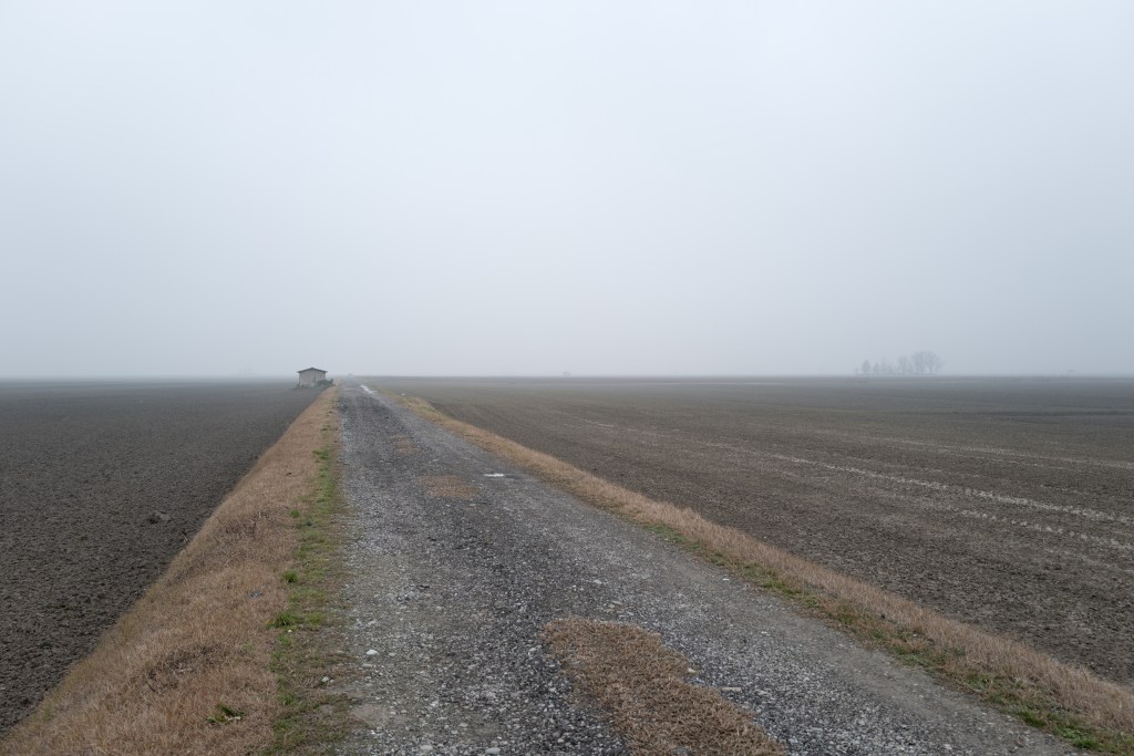 Country Road - Crevalcore, Bologna, Italy - December 19, 2024
