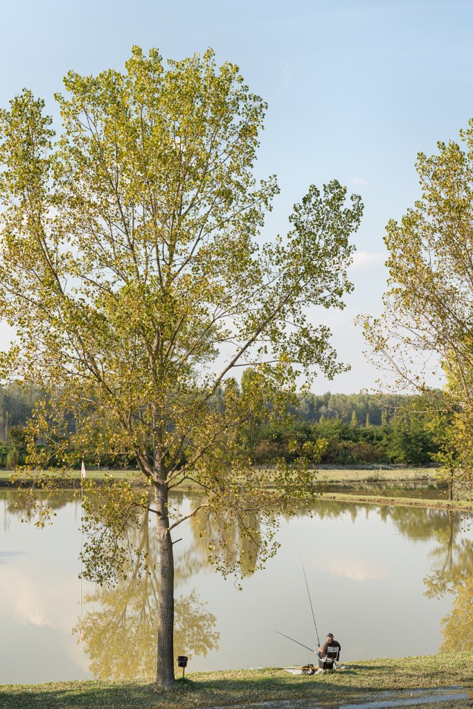 Autumn - Lago Serraglio, Suzzara, Mantova, Italy - October 10, 2020
