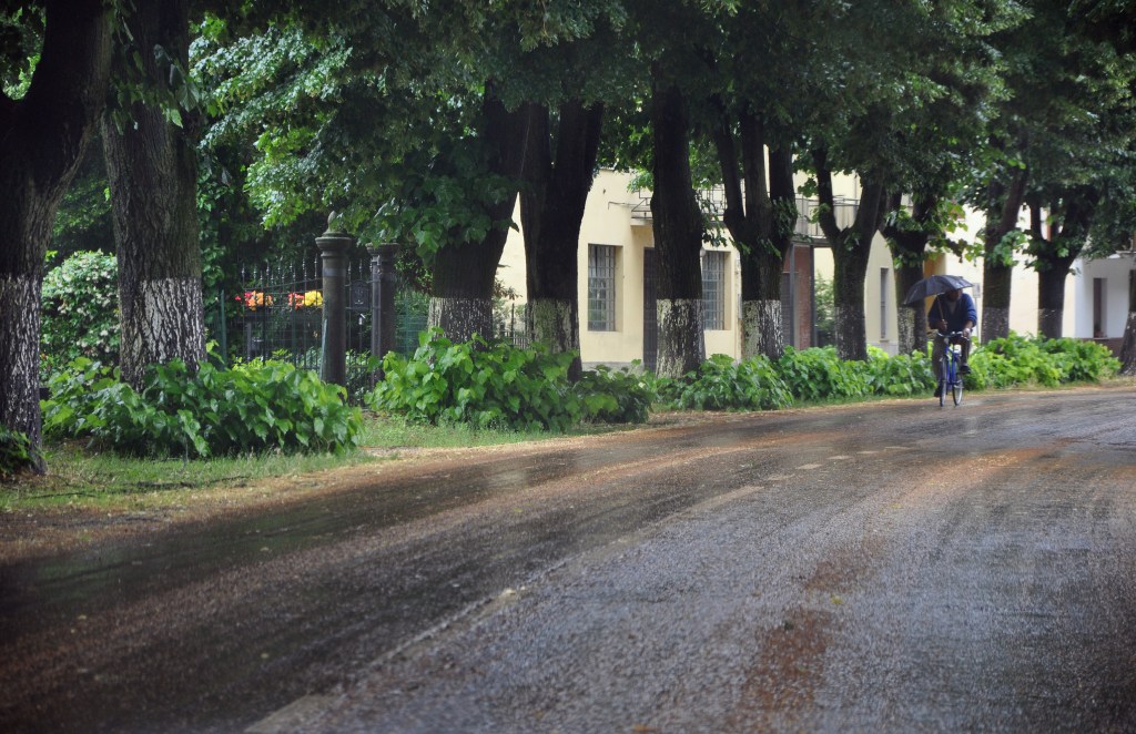 First Day of Summer - Roccabianca, Parma, Italy - June 20, 2010
