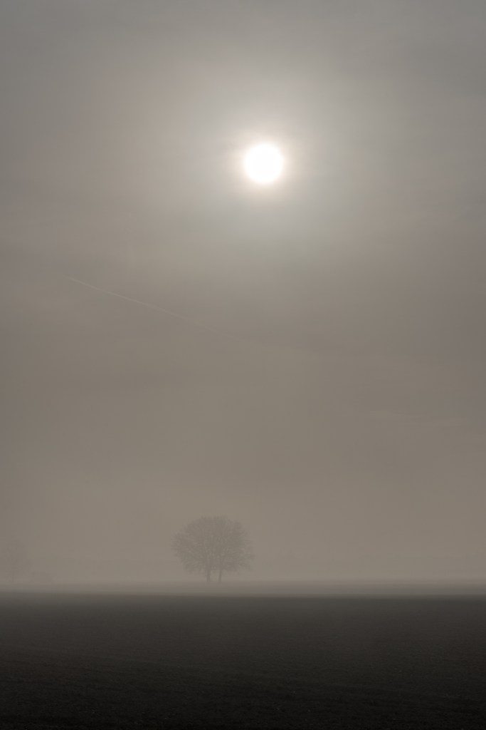 Foggy Sunrise - Nonantola, Modena, Italy - December 15, 2015