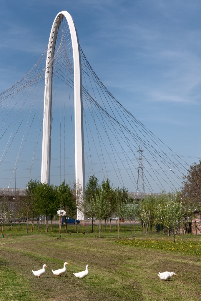 Vele di Calatrava, South bridge - Reggio Emilia, Italy - April 7, 2011
