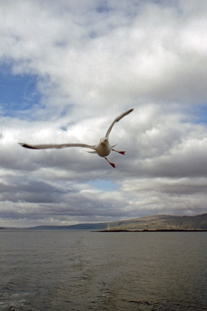 Sharp Turn - Craignure-Oban Ferry, Scotland, UK - May 17, 1989
