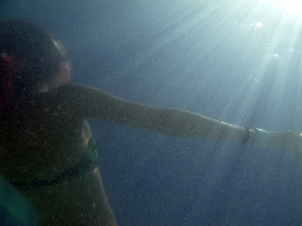 Emerge - Isla Contoy, Quintana Roo, Mexico - August 18, 2014
