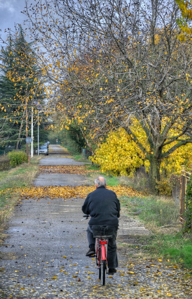Fall - Fellegara, Scandiano, Reggio Emilia, Italy - November 6, 2011
