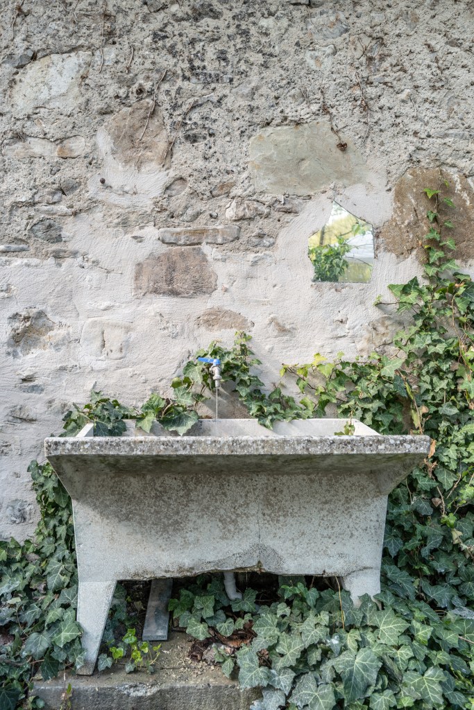 Rural Still Life - Castellarano, Reggio Emilia, Italy - April 24, 2022
