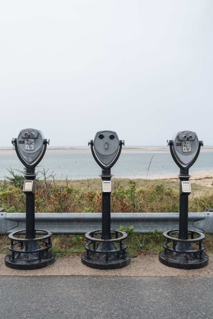 Three binoculars - Chatham, Massachusetts, USA - September 30, 2023
