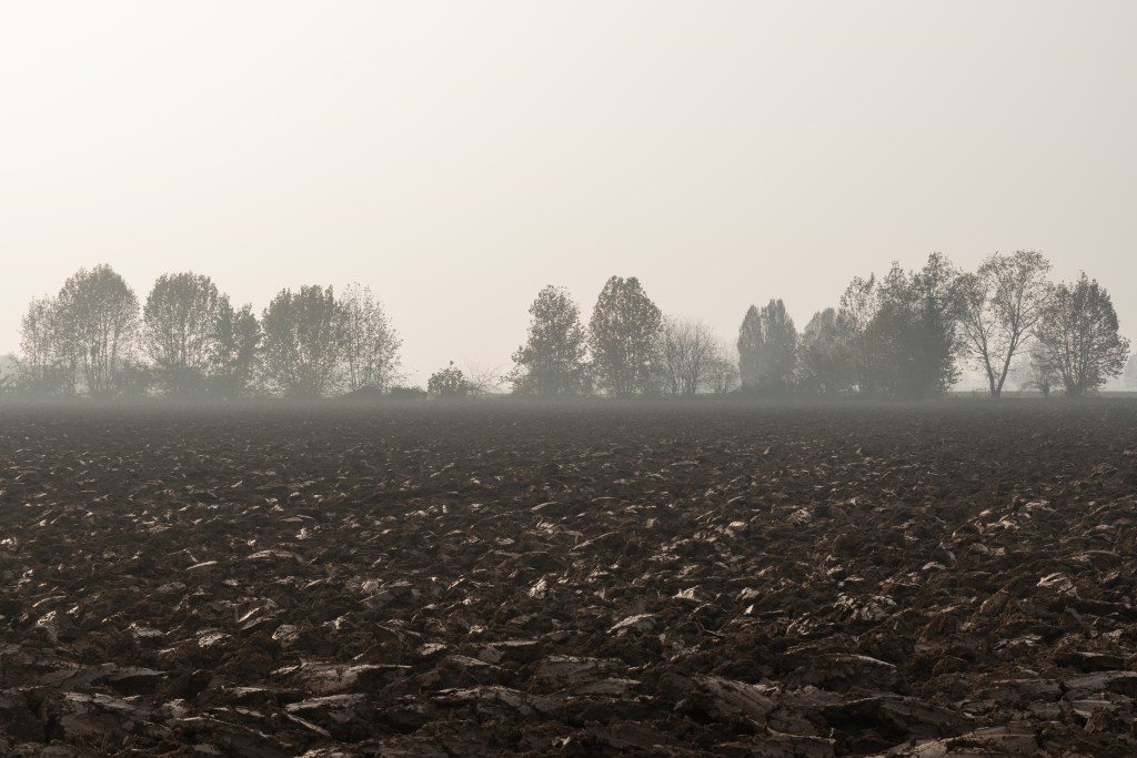 Plowed Field - Marmirolo, Mantova, Italy - November 14, 2025
