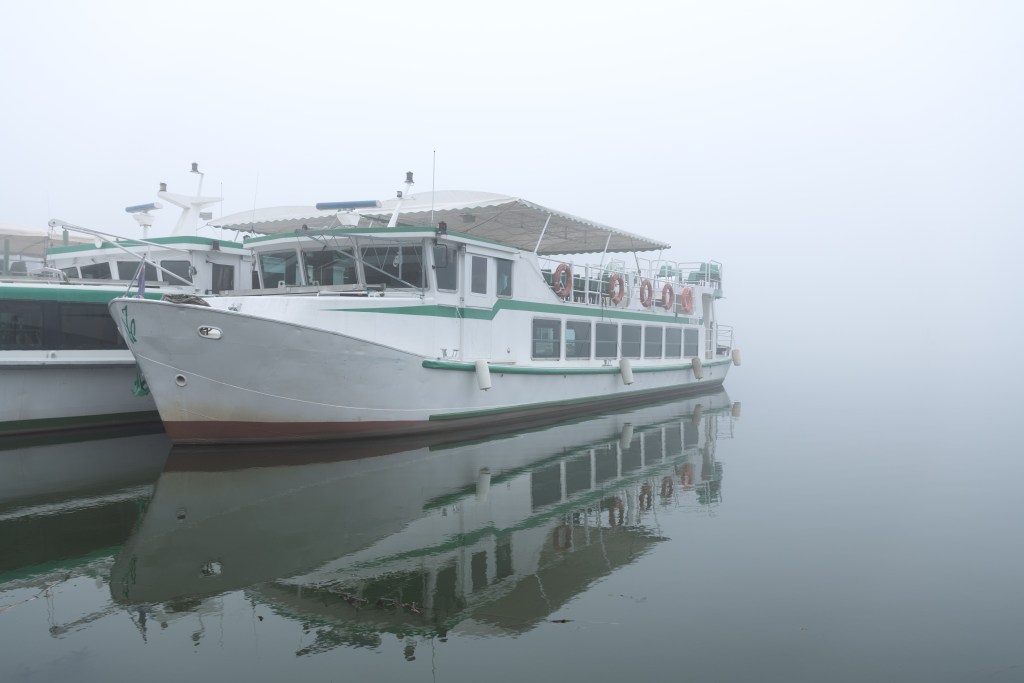 Fog - Mantua, Italy - November 14, 2025
