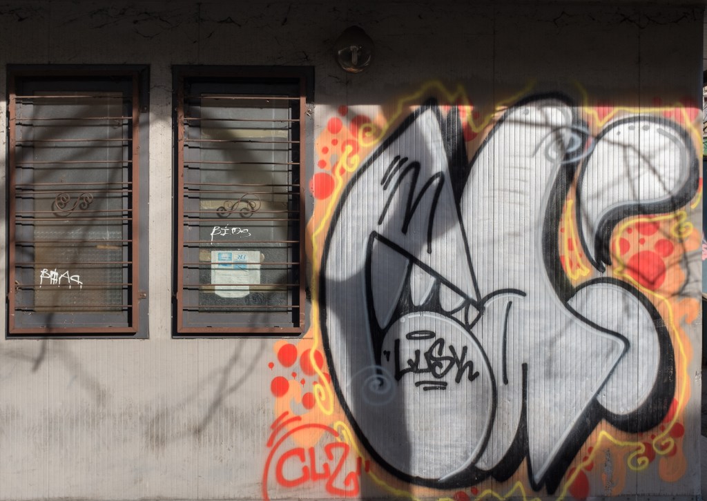 Graffiti - Reggio Emilia, Italy - December 26, 2016
