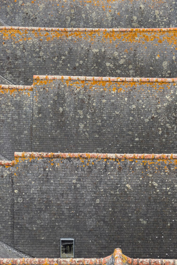 Roofs - Josselin, France - August 20, 2018

