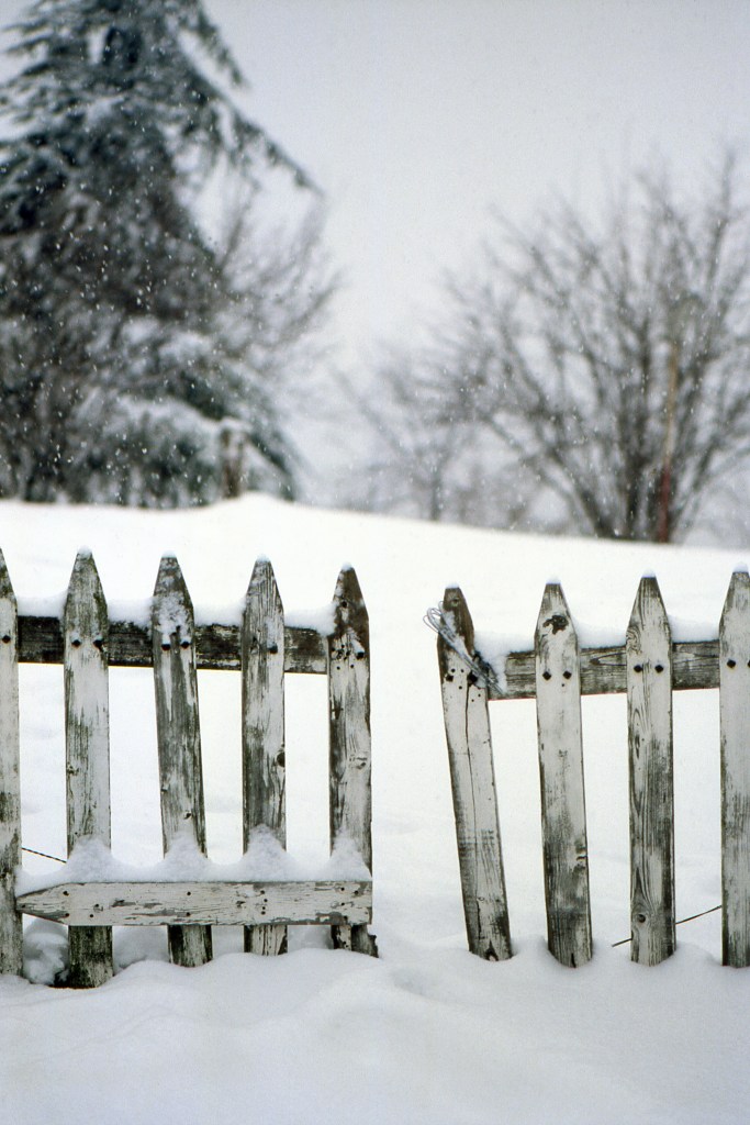 Gate - Albinea, Reggio Emilia, Italy - December 1991
