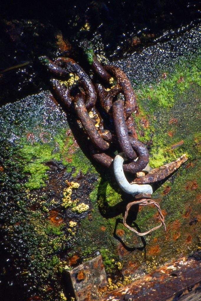Rusty Chain - Vancouver Island, BC, Canada - Summer 1990
