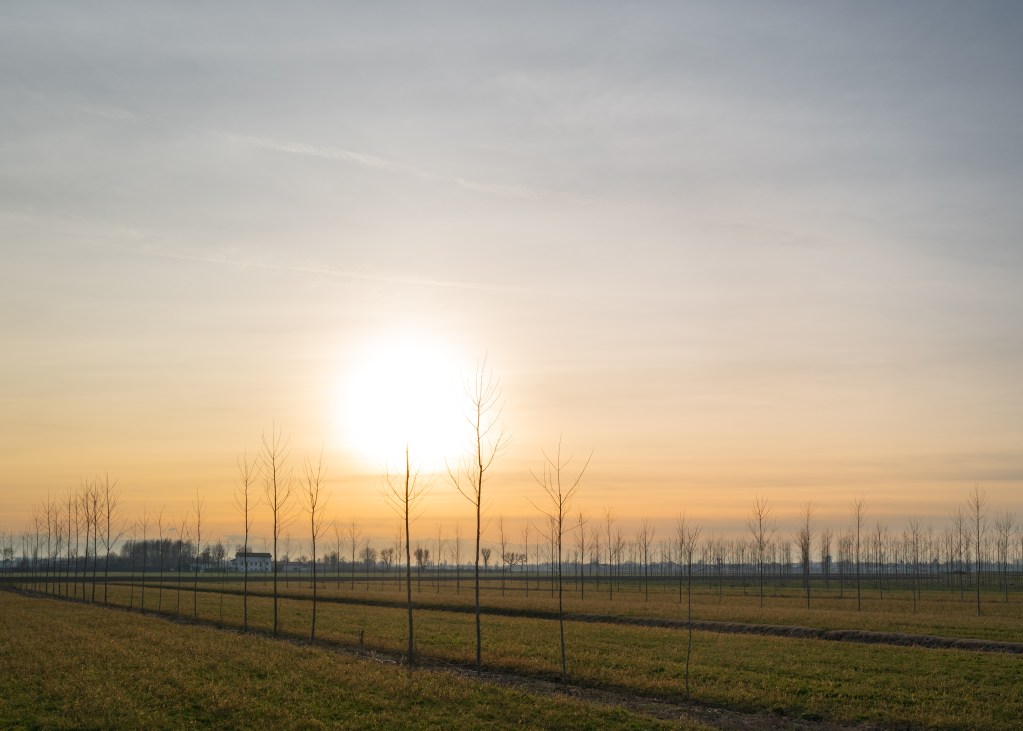 Sunset - Nonantola, Modena, Italy - January 12, 2026