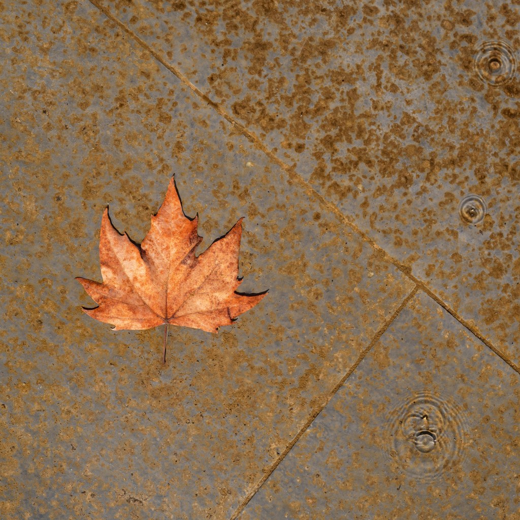 Urban Still Life - Reggio Emilia, Italia - February 15, 2026